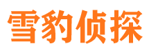 松滋侦探公司